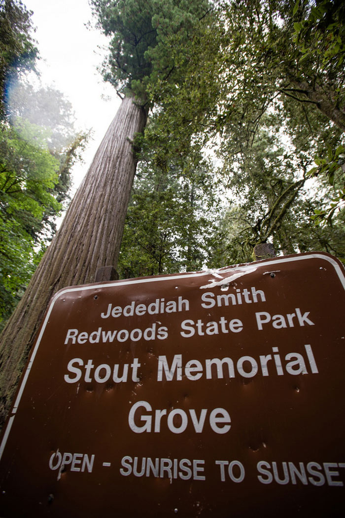 Redwoods State Park sign
