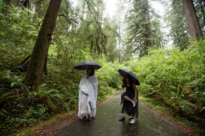 bride and maid of honour in the woods with umbrellas