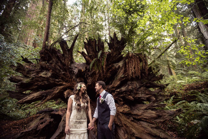 bride and groom in front of massive fallen tree