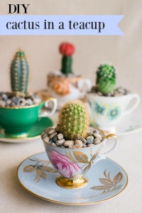 DIY Cactus in a Teacup