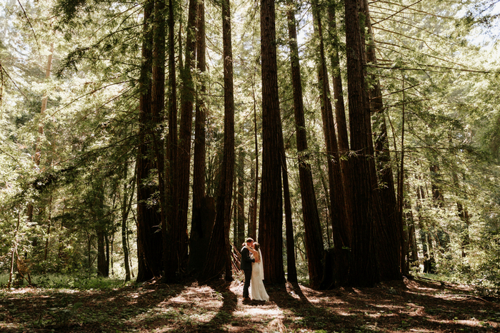 Hannah and Rocky’s Intimate Redwoods Wedding